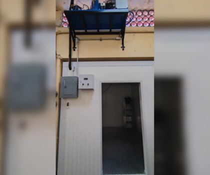 Congelación Image2